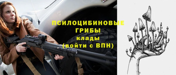 ГАЛЛЮЦИНОГЕННЫЕ ГРИБЫ Алексин