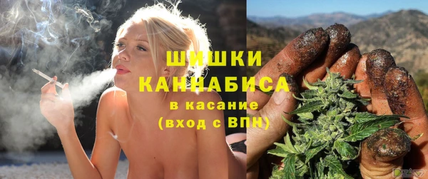 ГАЛЛЮЦИНОГЕННЫЕ ГРИБЫ Алексин